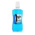 Zidac Laboratories Absolute Ice Coolmint Mouthwash Collutorio 500 ml