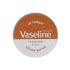 Vaseline Lip Therapy Cocoa Butter Balsamo per le labbra donna 20 g