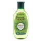 Garnier Botanic Therapy Green Tea Eucalyptus & Citrus Shampoo rinfrescante per la lucentezza dei capelli donna 250 ml
