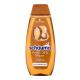 Schwarzkopf Schauma Argan Oil & Repair Shampoo Shampoo donna 400 ml