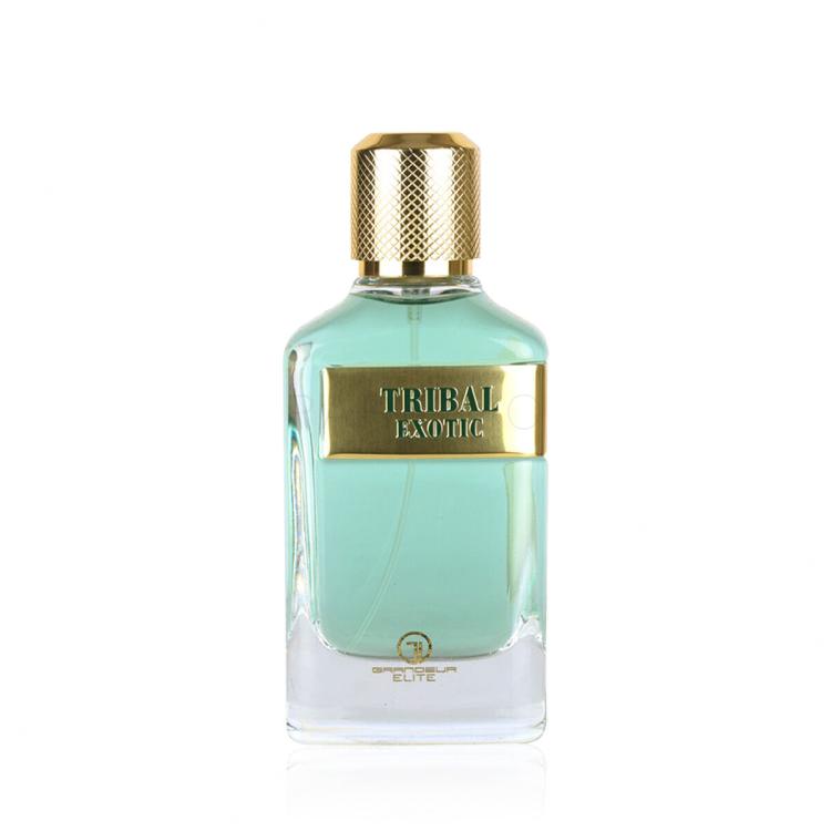 Grandeur Tribal Exotic Eau de Parfum uomo 100 ml